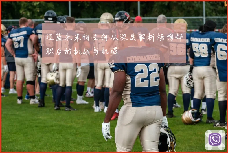 辽篮未来何去何从深度解析杨鸣辞职后的挑战与机遇