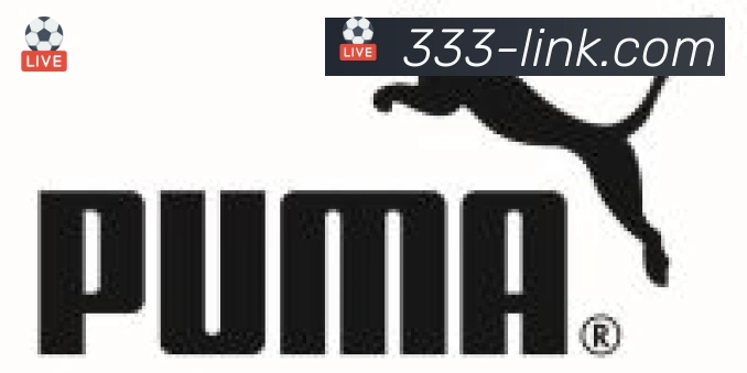 333体育合作伙伴